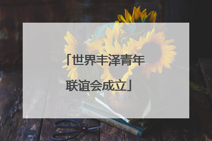 世界丰泽青年联谊会成立