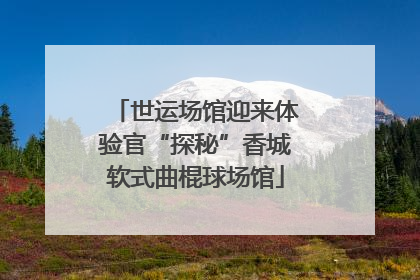 世运场馆迎来体验官“探秘”香城软式曲棍球场馆