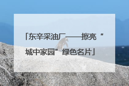 东辛采油厂——擦亮“城中家园”绿色名片