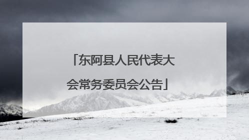 东阿县人民代表大会常务委员会公告