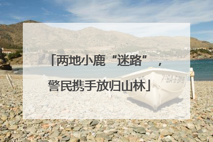 两地小鹿“迷路”，警民携手放归山林