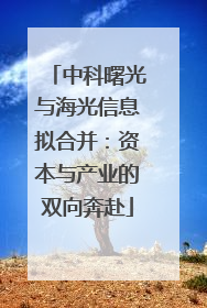 中科曙光与海光信息拟合并：资本与产业的双向奔赴