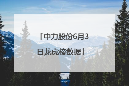 中力股份6月3日龙虎榜数据