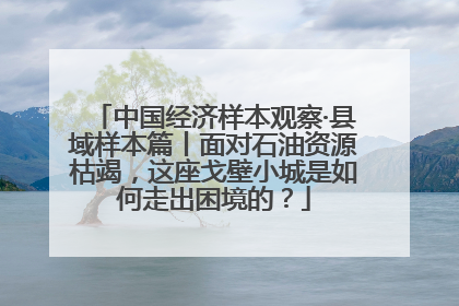 中国经济样本观察·县域样本篇丨面对石油资源枯竭，这座戈壁小城是如何走出困境的？