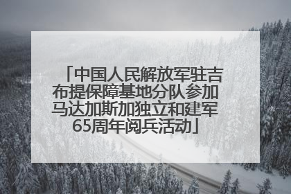 中国人民解放军驻吉布提保障基地分队参加马达加斯加独立和建军65周年阅兵活动