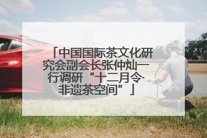 中国国际茶文化研究会副会长张仲灿一行调研“十二月令·非遗茶空间”