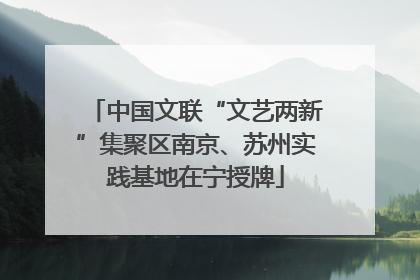 中国文联“文艺两新”集聚区南京、苏州实践基地在宁授牌