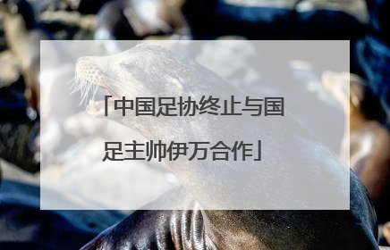 中国足协终止与国足主帅伊万合作