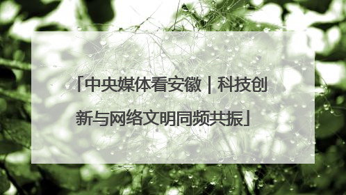 中央媒体看安徽｜科技创新与网络文明同频共振