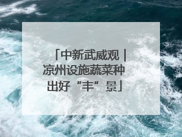中新武威观｜凉州设施蔬菜种出好“丰”景