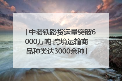 中老铁路货运量突破6000万吨 跨境运输商品种类达3000余种