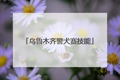 乌鲁木齐警犬赛技能