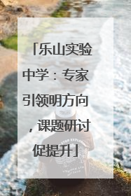 乐山实验中学：专家引领明方向，课题研讨促提升