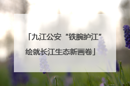 九江公安“铁腕护江”绘就长江生态新画卷