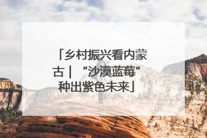 乡村振兴看内蒙古｜“沙漠蓝莓”种出紫色未来
