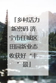 乡村活力新密码 济宁市任城区田园新业态收获好“丰”景