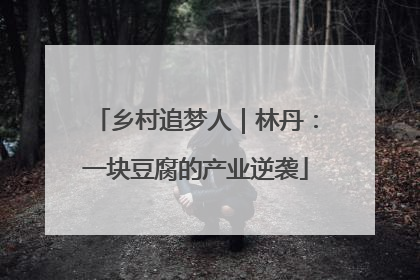 乡村追梦人｜林丹：一块豆腐的产业逆袭