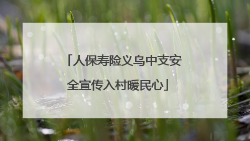 人保寿险义乌中支安全宣传入村暖民心