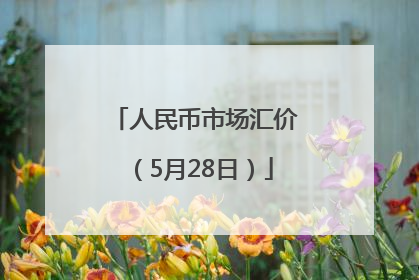 人民币市场汇价（5月28日）