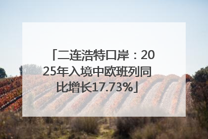 二连浩特口岸：2025年入境中欧班列同比增长17.73%