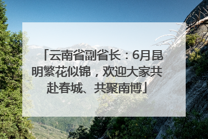 云南省副省长：6月昆明繁花似锦，欢迎大家共赴春城、共聚南博