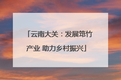 云南大关：发展筇竹产业 助力乡村振兴