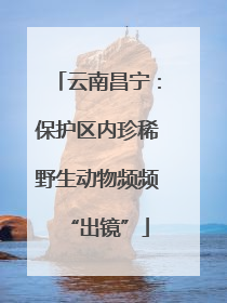 云南昌宁：保护区内珍稀野生动物频频“出镜”