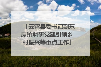 云霄县委书记到东厦镇调研党建引领乡村振兴等重点工作