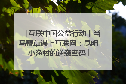 互联中国公益行动丨当马鞭草遇上互联网：昆明小渔村的逆袭密码