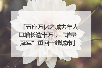 五座万亿之城去年人口增长逾十万，“增量冠军”重回一线城市