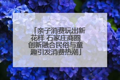 亲子消费玩出新花样 石家庄商圈创新融合民俗与童趣引发消费热潮