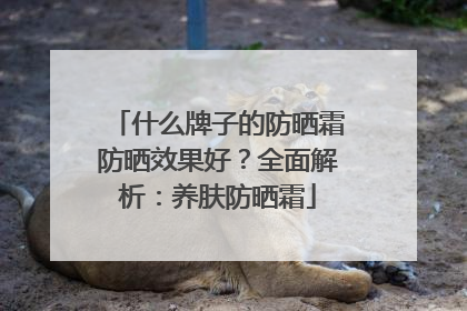 什么牌子的防晒霜防晒效果好？全面解析：养肤防晒霜