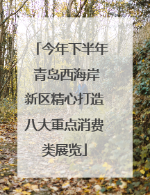 今年下半年 青岛西海岸新区精心打造八大重点消费类展览