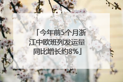 今年前5个月浙江中欧班列发运量同比增长约8%