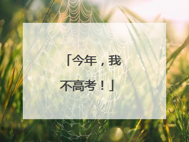 今年，我不高考！