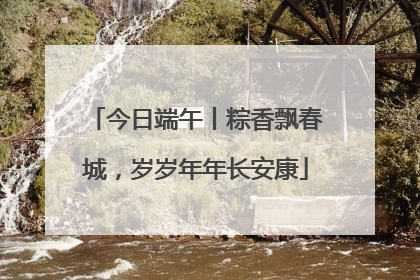 今日端午丨粽香飘春城，岁岁年年长安康