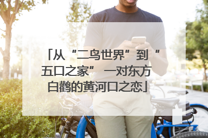 从“二鸟世界”到“五口之家” 一对东方白鹳的黄河口之恋