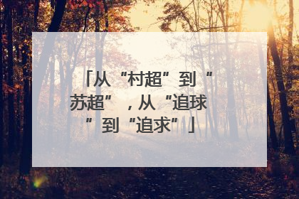 从“村超”到“苏超”，从“追球”到“追求”
