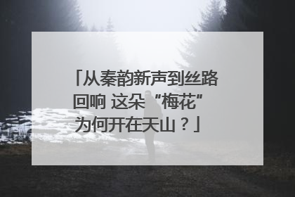 从秦韵新声到丝路回响 这朵“梅花”为何开在天山？