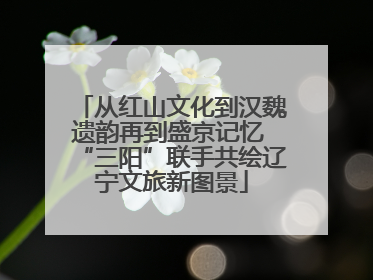 从红山文化到汉魏遗韵再到盛京记忆 “三阳”联手共绘辽宁文旅新图景