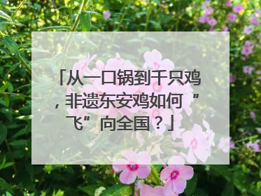 从一口锅到千只鸡，非遗东安鸡如何“飞”向全国？