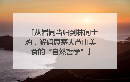 从岩间当归到林间土鸡，解码思茅大芦山美食的“自然哲学”