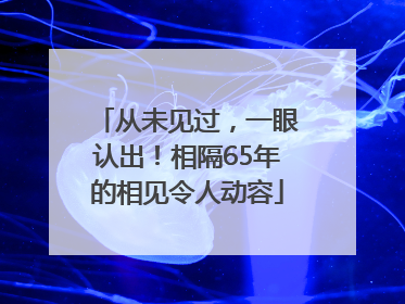 从未见过，一眼认出！相隔65年的相见令人动容