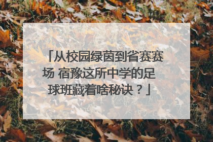 从校园绿茵到省赛赛场 宿豫这所中学的足球班藏着啥秘诀？