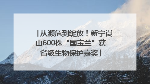 从濒危到绽放！新宁崀山600株“国宝兰”获省级生物保护嘉奖