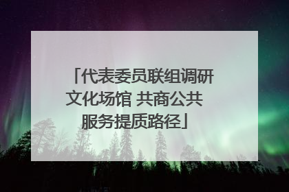 代表委员联组调研文化场馆 共商公共服务提质路径