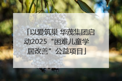 以爱筑巢 华茂集团启动2025“困难儿童学居改善”公益项目