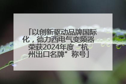 以创新驱动品牌国际化，德力西电气变频器荣获2024年度“杭州出口名牌”称号