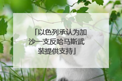 以色列承认为加沙一支反哈马斯武装提供支持