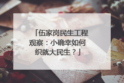 伍家岗民生工程观察：小确幸如何织就大民生？